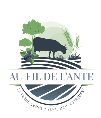 Au fil de l’Ante